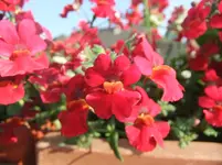 DSCF2818.webp
