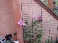 033.webp