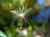 075.webp