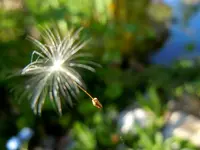 092.webp