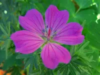 002.webp