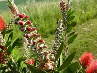 P1000260.webp