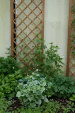 DSC_8000.webp