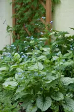 DSC_8004.webp