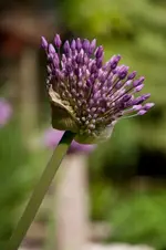 DSC_8055.webp