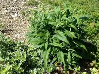 DSCF8570.webp