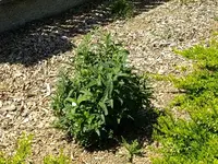 DSCF8624.webp