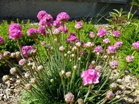 DSCF8559.webp