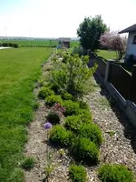 DSCF8563.webp