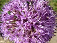 DSCF8566.webp
