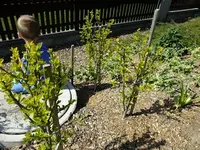 DSCF8572.webp