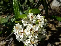DSCF8574.webp