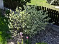 DSCF8575.webp