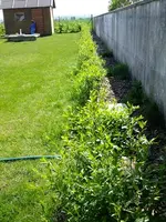 DSCF8576.webp
