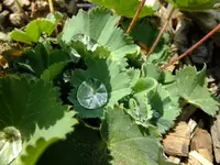 DSCF8606.webp