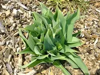 DSCF8608.webp