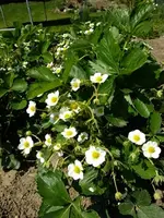 DSCF8614.webp