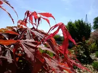 DSCF8630.webp