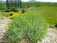 DSCF8635.webp