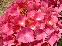 DSCF8636.webp
