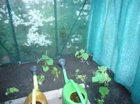 P1110186.webp