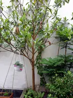 P1010878.webp