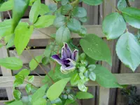 2011 05 11 005.webp