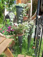 100_5207.webp