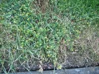 IMG_0002.webp