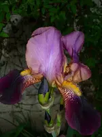 DSCI1359.webp