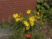 HPIM6417.webp
