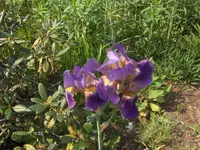 HPIM6419.webp