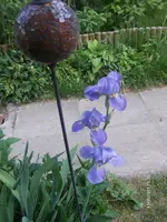 HPIM6428.webp
