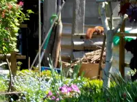 SDC13537.webp