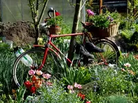 SDC13542.webp