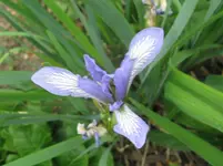 IMG_2468_1067x800.webp