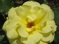 IMG_4722.webp