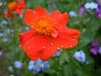 Wassertropfen055.webp