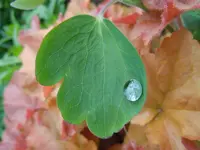Wassertropfen057.webp