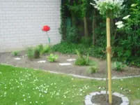 CIMG0853.webp