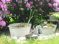 CIMG0873.webp