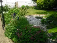 CIMG0927.webp