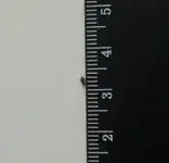 2011-05-12 18.32.46-2.webp