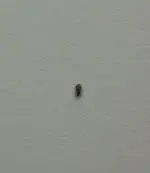 2011-05-12 18.31.00-1.webp