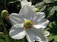 IMG_2477_1067x800.webp