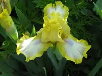 IMG_easter2_1067x800.webp