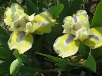 IMG_sarah taylor1_1067x800.webp