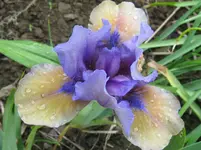 IMG_whats again2_1067x800.webp