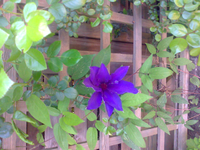Foto0186.webp