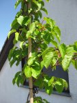 IMG_3980.jpg